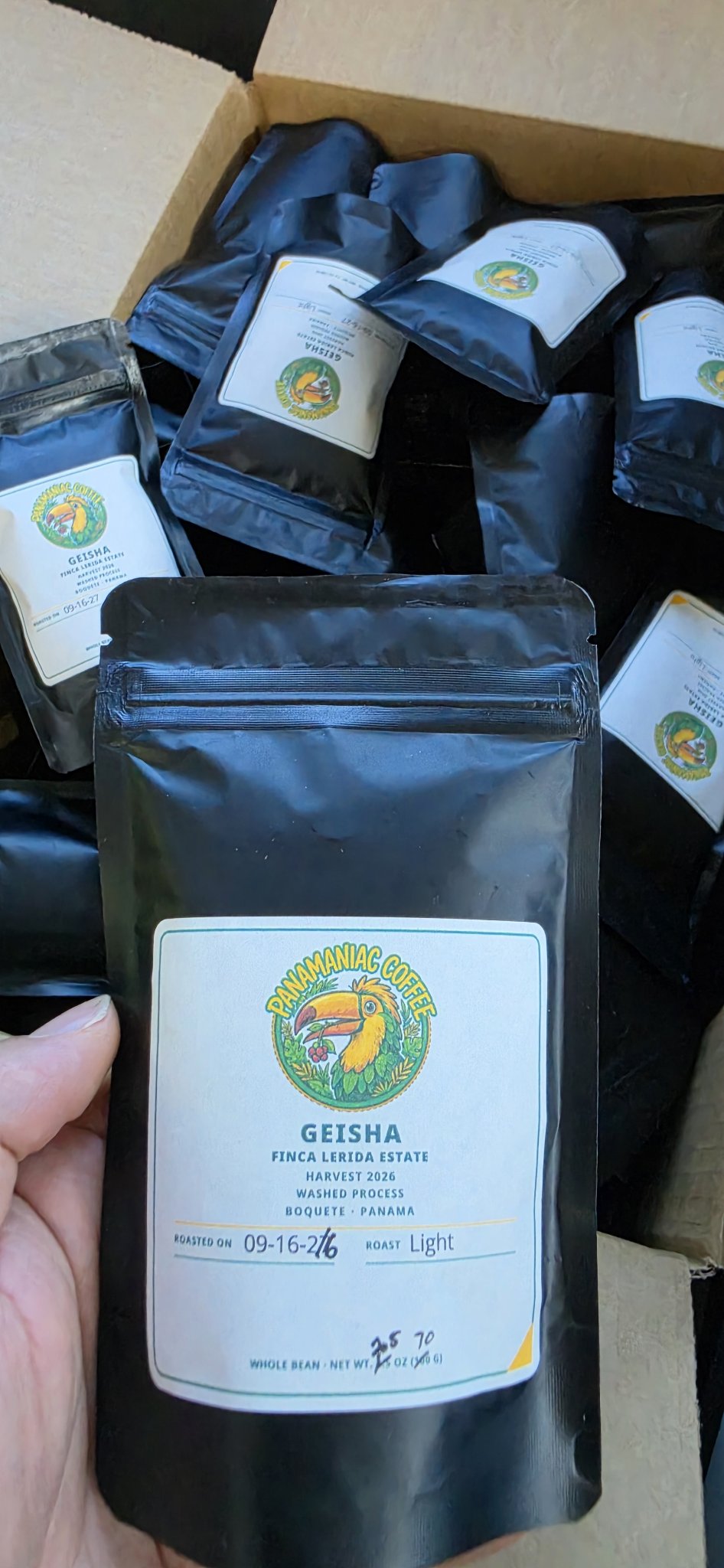 Finca Lérida Geisha — Taster Bag (2.5 oz / 70 g)